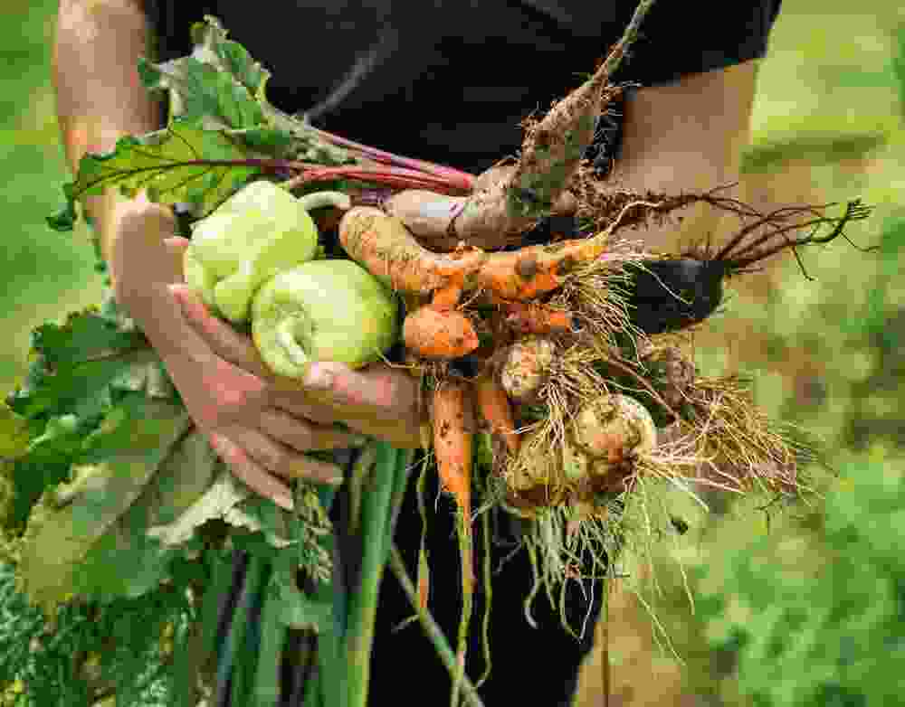 guofu farm-Guofu Technology Group Co., Ltd