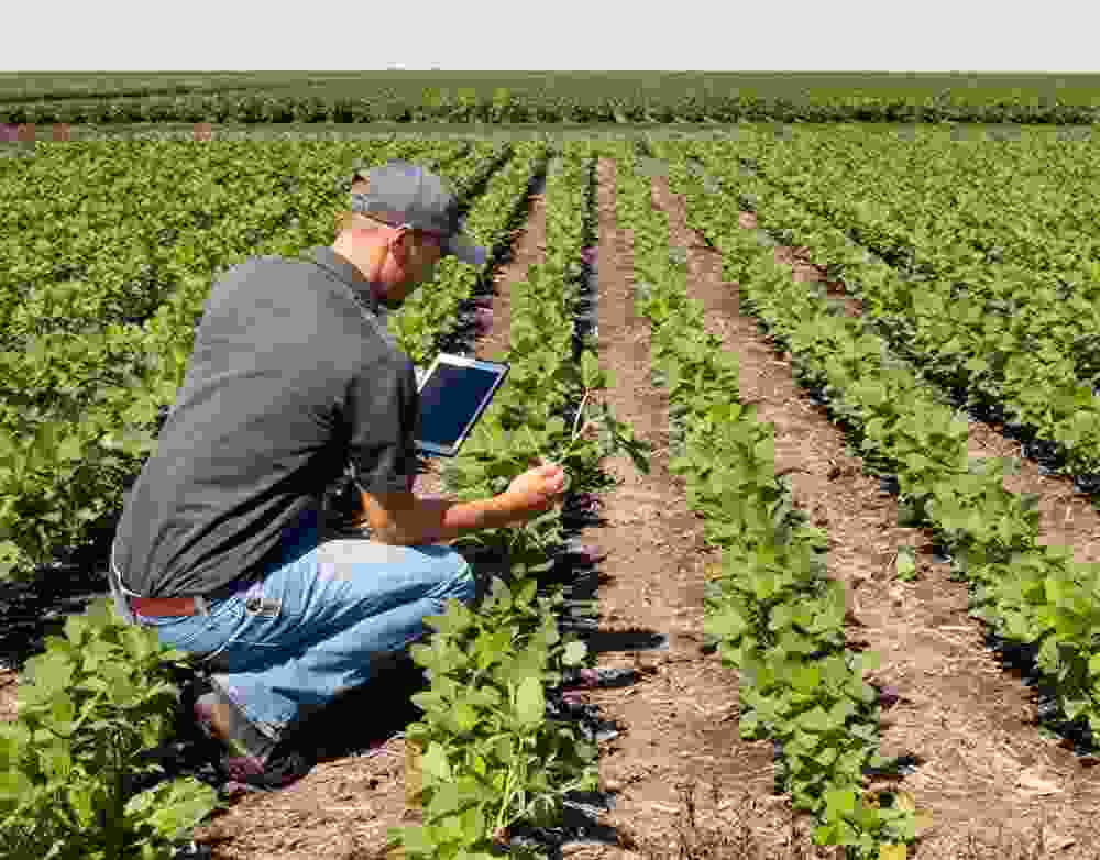 guofu farm-Guofu Technology Group Co., Ltd