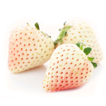 Angel No. 8 strawberry
