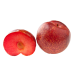 Cherry Plum