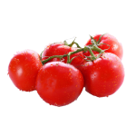 fresh tomatoes