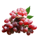 Kronson Grape