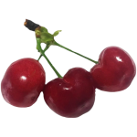 Brooks cherry