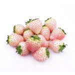 Light snow strawberry