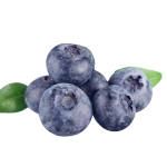 Lakeside blueberry