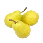 Pyrus communis pear