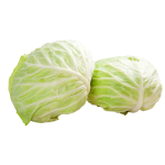 Fresh Round Cabbages