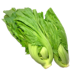 Fresh Mustard Greens