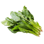 Fresh Spinach