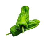 Fresh Tiger Pepper