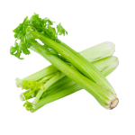 Fresh Celery