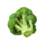 Fresh Broccoli