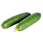 Fresh Cucumbers